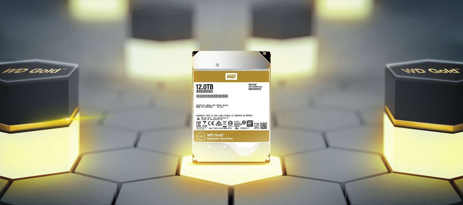 WD HDD Gold