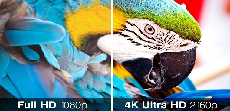 độ phân giải 4K đem tới hình ảnh sắc nét, chân thực