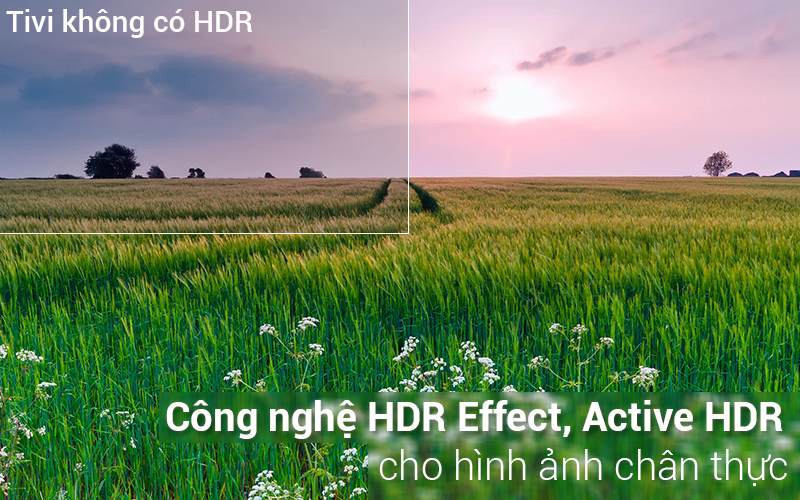 Công nghệ Active HDR và HDR Effect đem tới trải nghiệm hình ảnh đặc sắc