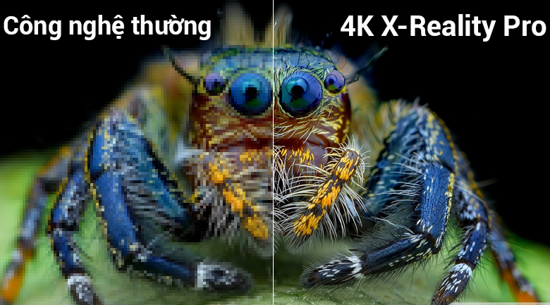 X-Reality Pro đem tới hình ảnh sắc nét