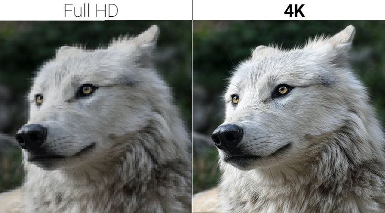Độ phân giải 4K đem tới chất lượng hình ảnh sắc nét chân thật
