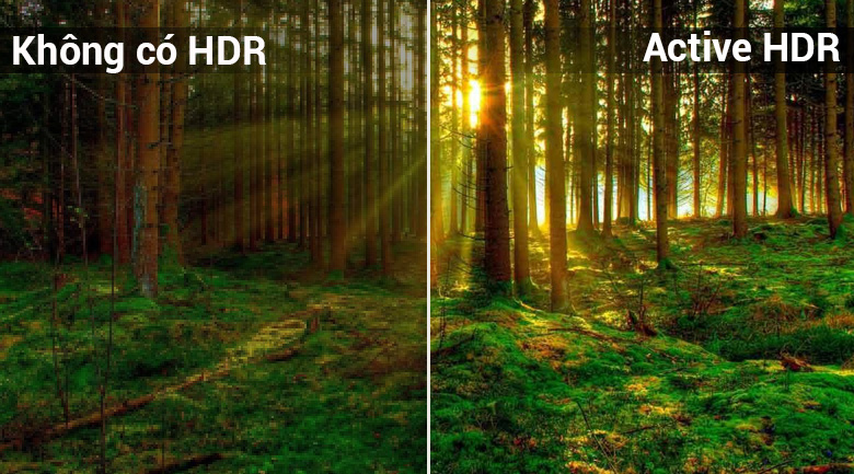 Công nghệ hình ảnh Active HDR tăng độ tương phản cho tivi