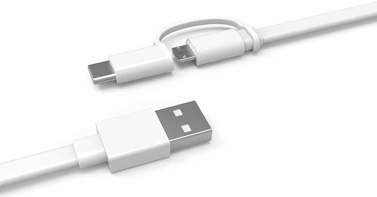 Cáp sạc Xiaomi 2-in-1 USB Cable Micro USB to Type C (100cm) (SJV4082TY)