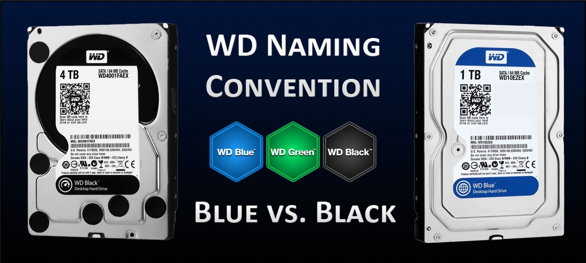 Ổ cứng máy tính WD Blue 1TB
