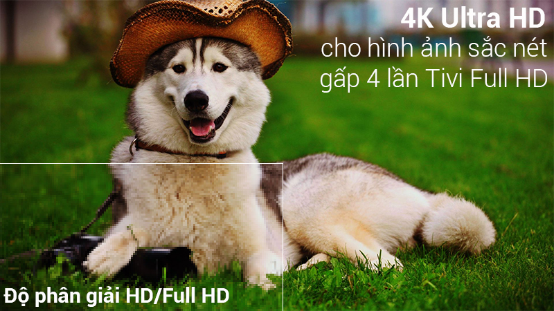 độ phân giải UHD 4K đem tới hình ảnh sống động chân thực