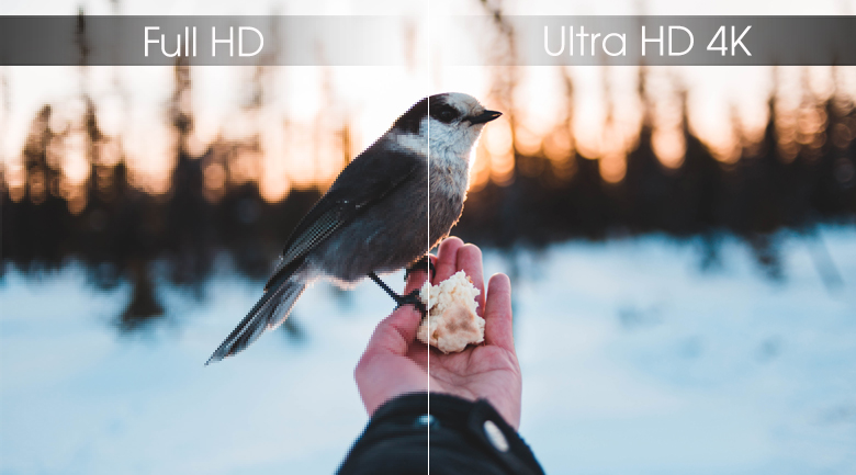 độ phân giải UHD 4K đem tới hình ảnh sắc nét vô cùng chân thực