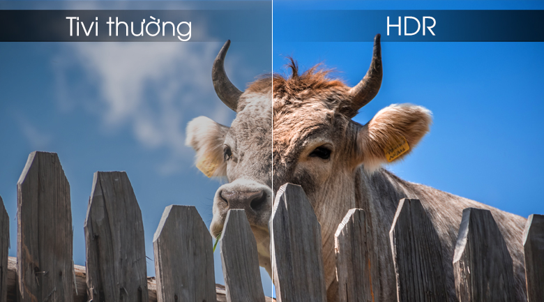 Công nghệ HDR đem tới hình ảnh sắc nét tới từng chi tiết