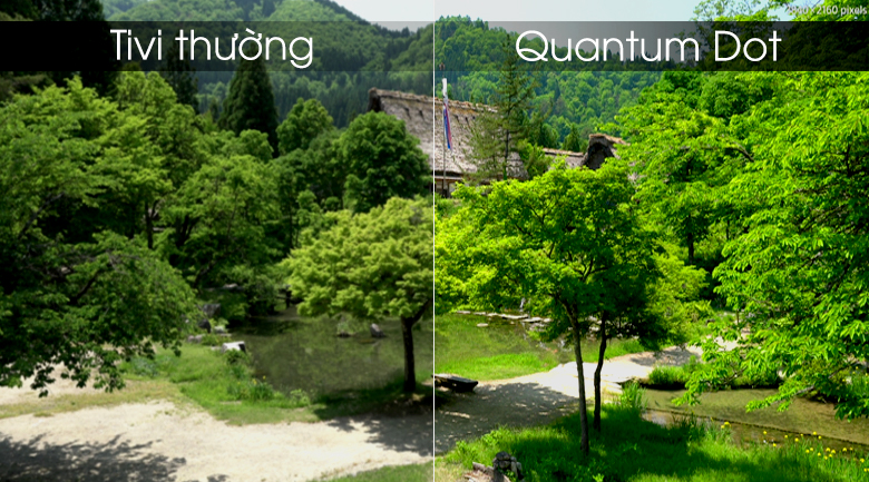 Quantum Dot đem tới hình ảnh sắc nét chân thực