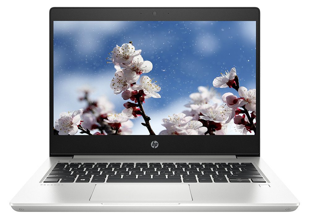 Máy tính xách tay/ Laptop HP ProBook 430 G6-5YN03PA (i7-8565U) (Bạc)