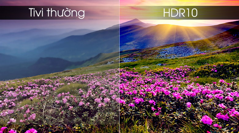 Hdr10 giúp tái tạo chất lượng hình ảnh đem hình ảnh chi tiết sấc nét