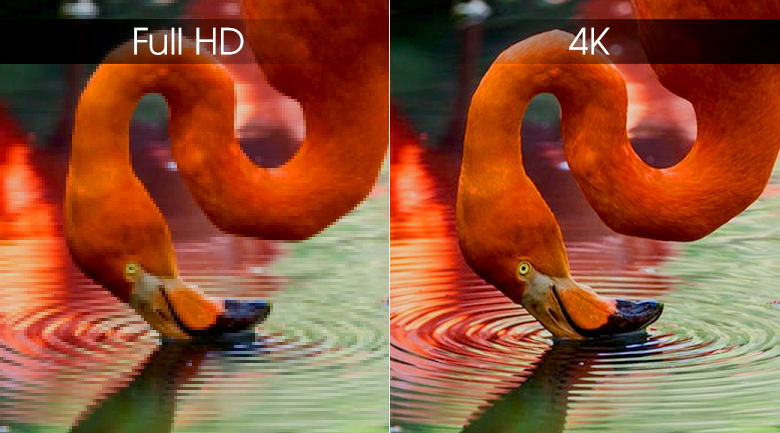 độ phân giải UHD 4K đem tới hình ảnh sắc nét chân thực