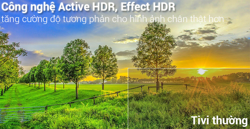 Công nghệ 4K Active HDR đem tới hình ảnh chân thực
