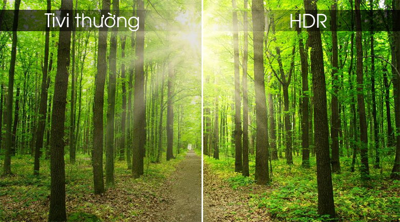 công nghệ HDR đem tới hình ảnh sắc nét chân thực