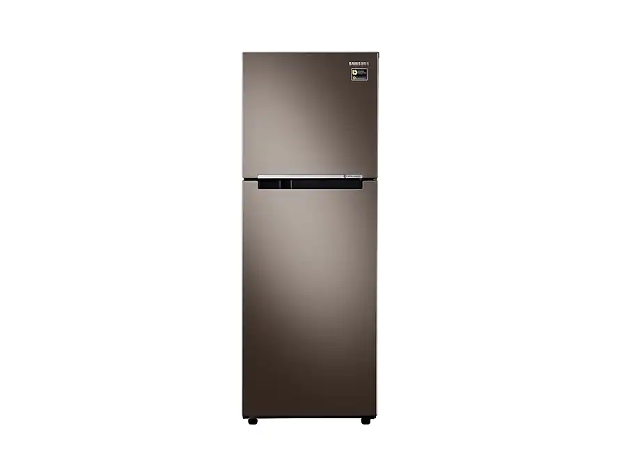 Tủ lạnh Samsung Inverter 243 lít RT22M4032DX-SV_3