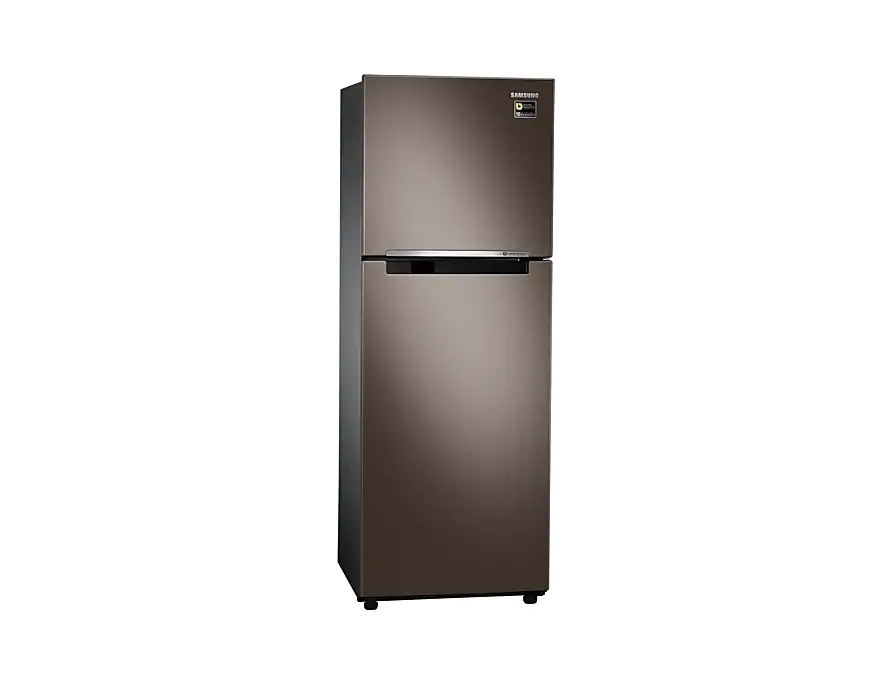 Tủ lạnh Samsung Inverter 243 lít RT22M4032DX-SV_6
