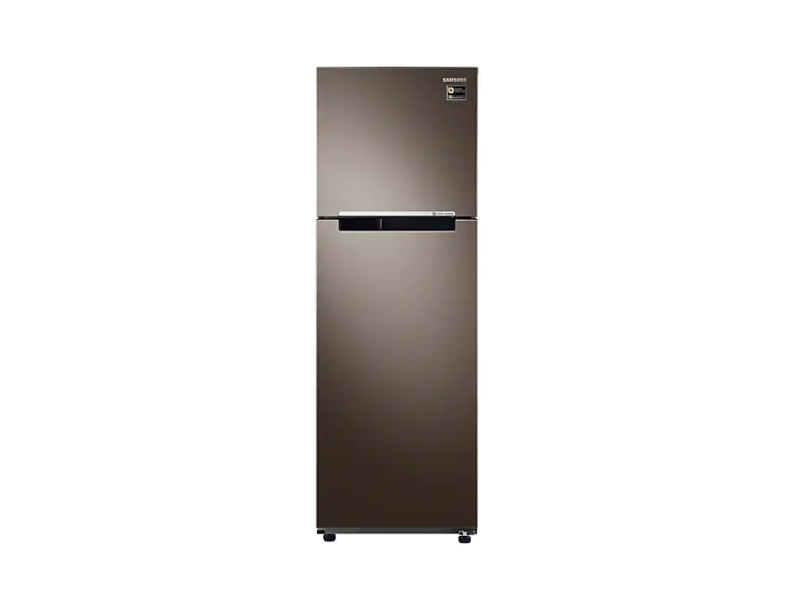 Tủ lạnh Samsung Inverter 264 lít RT25M4032DX-SV_1