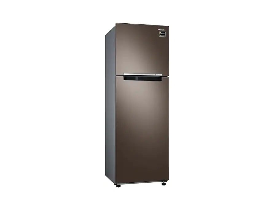 Tủ lạnh Samsung Inverter 264 lít RT25M4032DX-SV_2