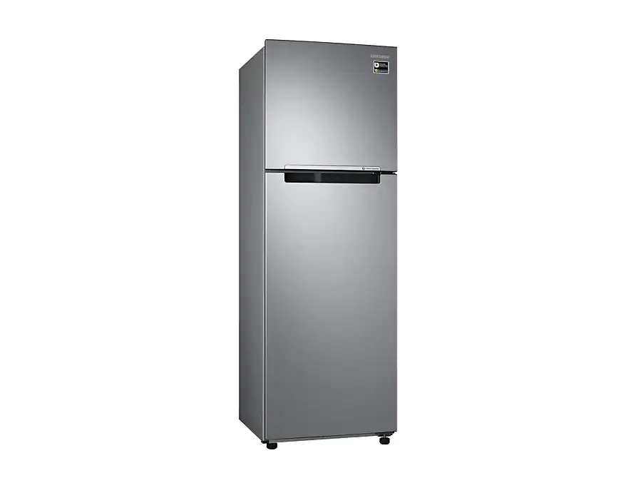Tủ lạnh Samsung Inverter 264 lít RT25M4033S8-SV_2