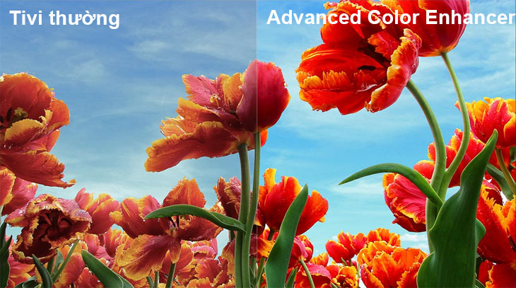 Advanced Color Enhancer đem tới màu sắc đẹp mắt vô cùng đẹp mắt