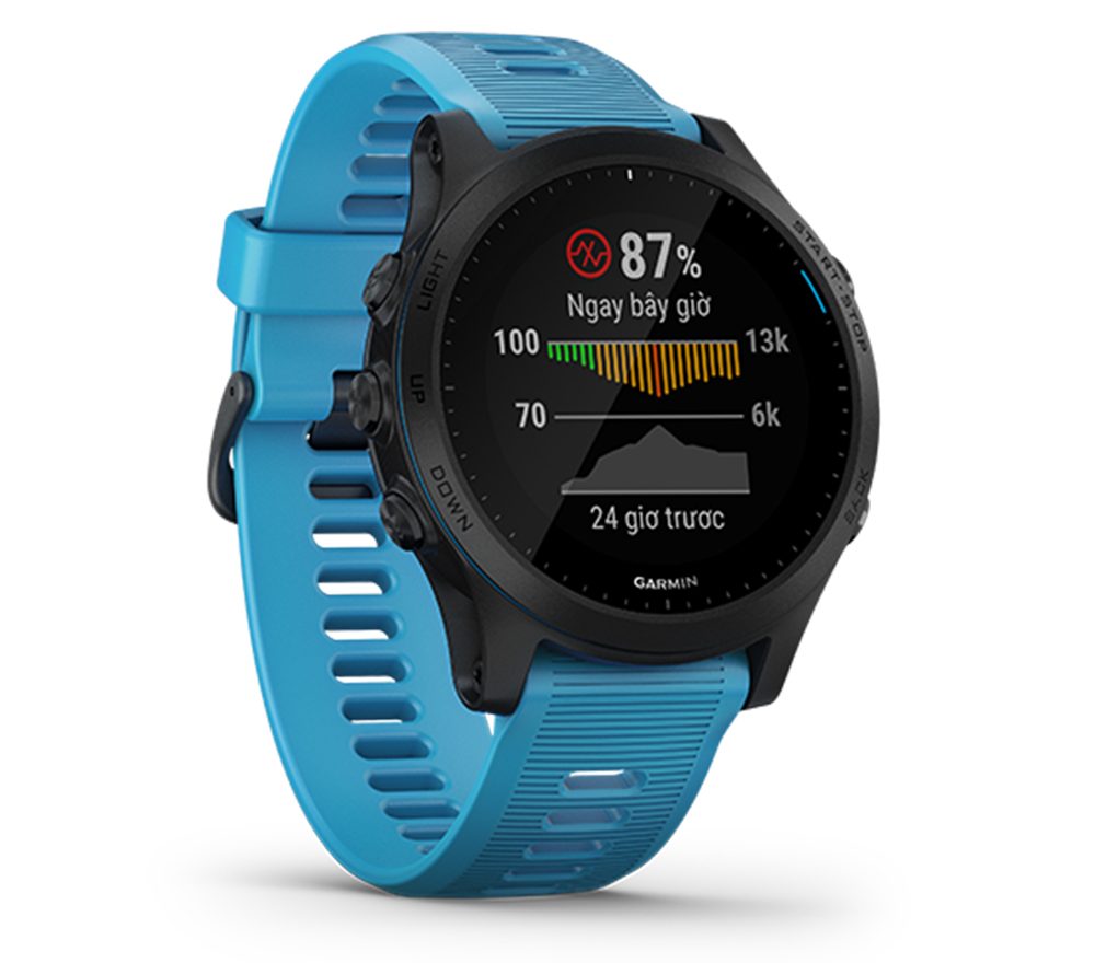 Smartwatch Garmin Forerunner 945, GPS, SEA, Blue_3