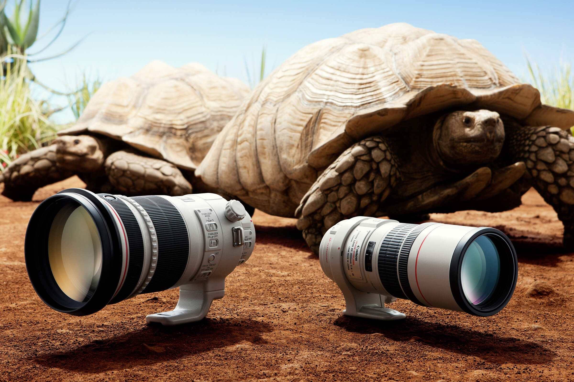 Lens-Canon-EF300mm-f4L-IS-USM-1