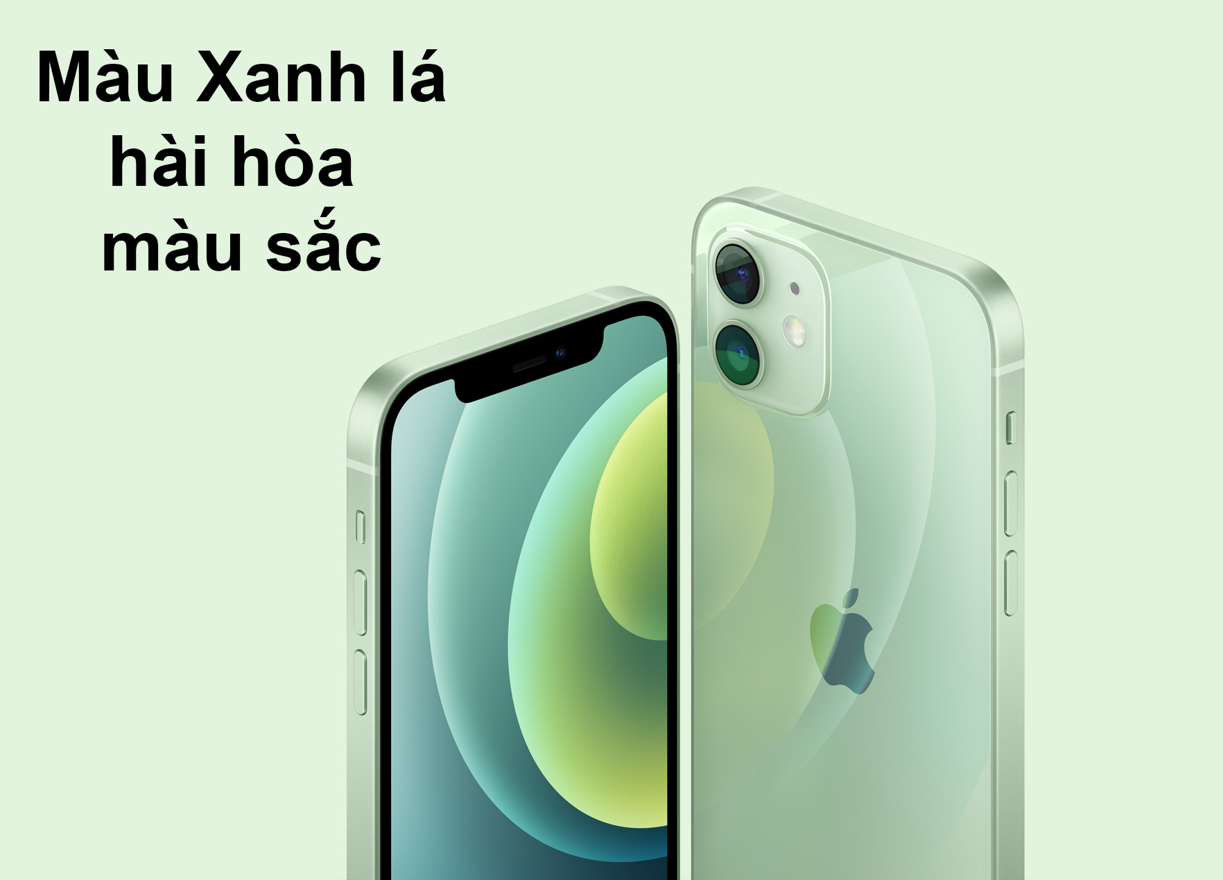 iPhone 12 Mini 64 GB | Màu xanh hài hòa màu sắc