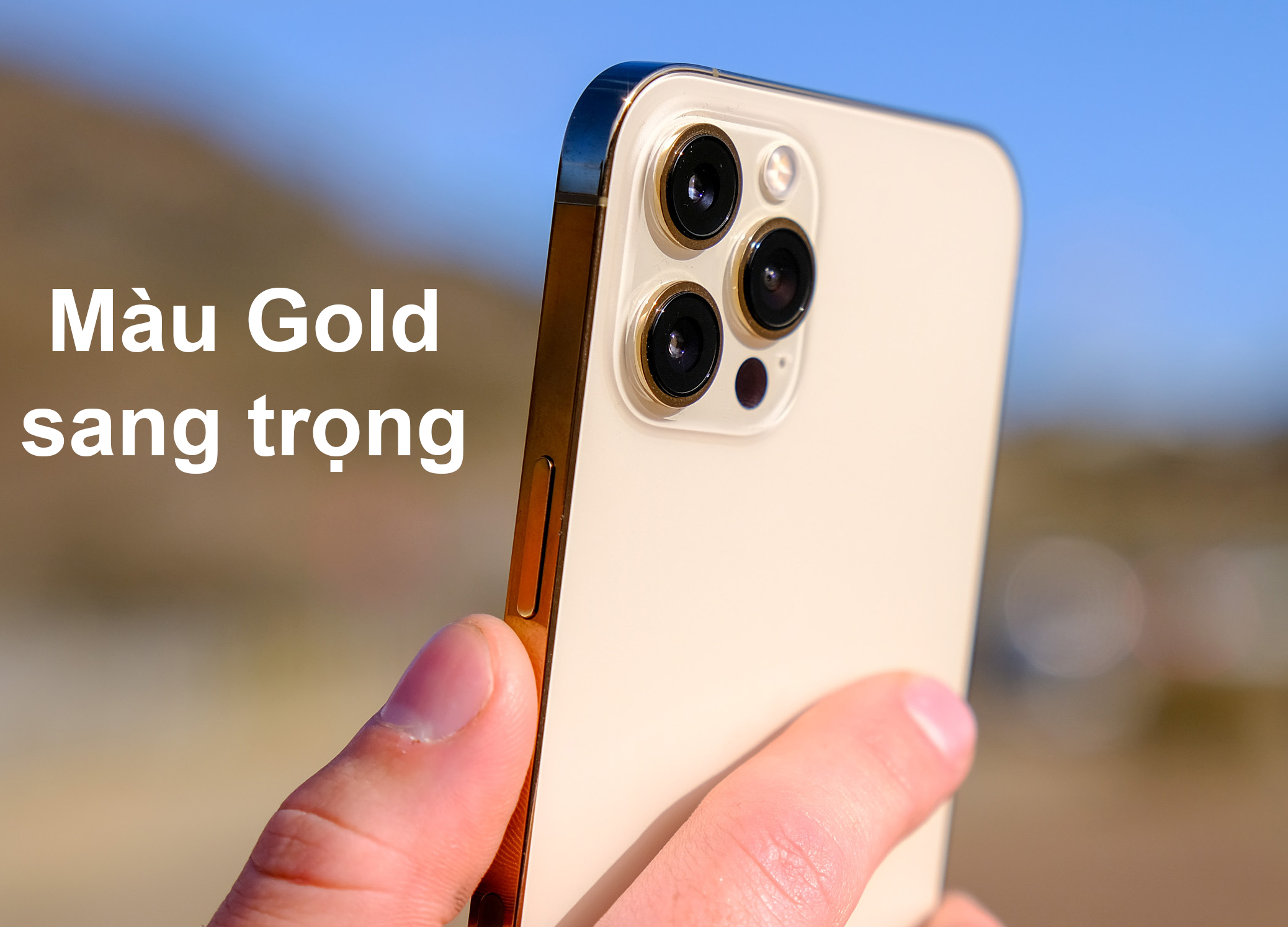 iPhone 12 Pro Max 256 GB | Màu Gold sang trọng