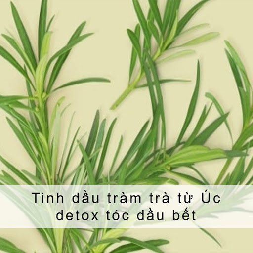 Dầu gội LOVE BEAUTY and PLANET xanh lá detox tóc 400ml-5