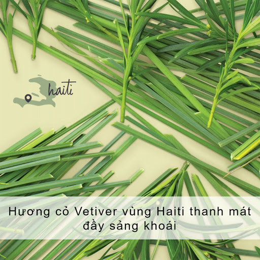 Dầu gội LOVE BEAUTY and PLANET xanh lá detox tóc 400ml-5