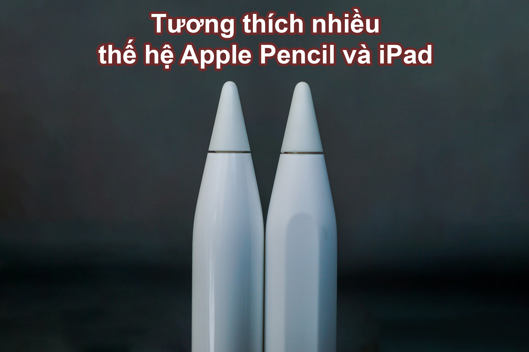 Đầu bút Apple Pencil Tips-ITP | Tương thích nhiều thiết bị và thế hệ Apple Pencil