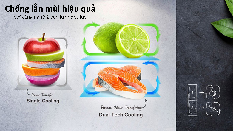 TỦ LẠNH CASPER SIDE BY SIDE 551L RS-575VBW | Chống lẫn mùi hiệu quả